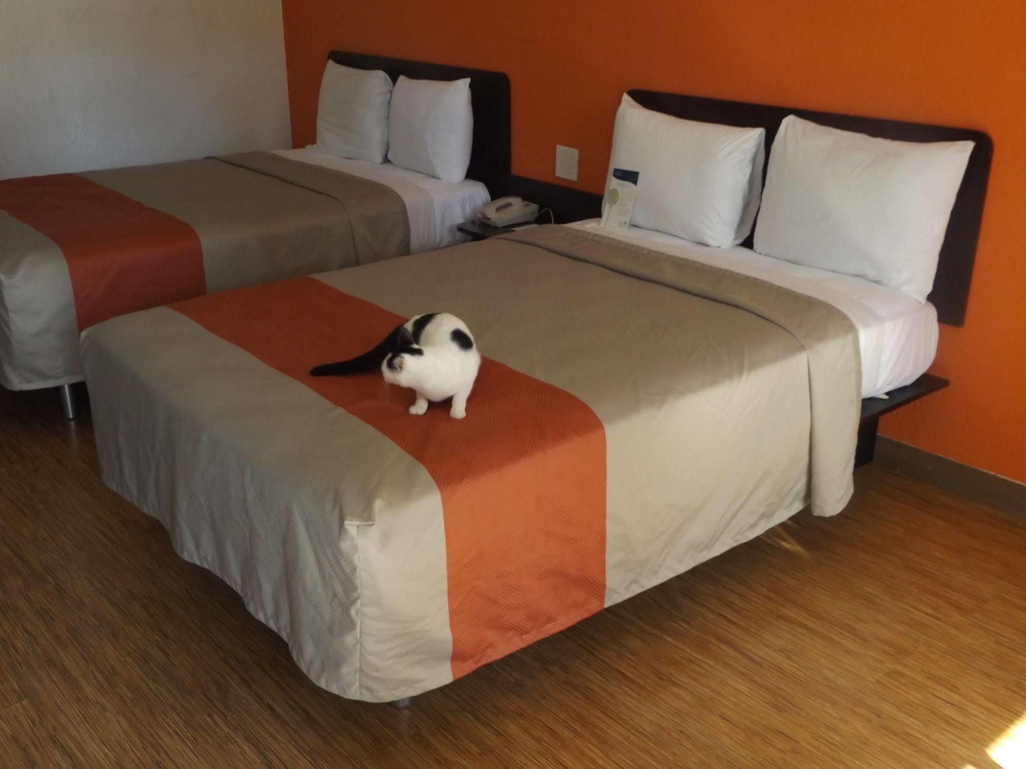 Motel 6 Glendale Az Dış mekan fotoğraf